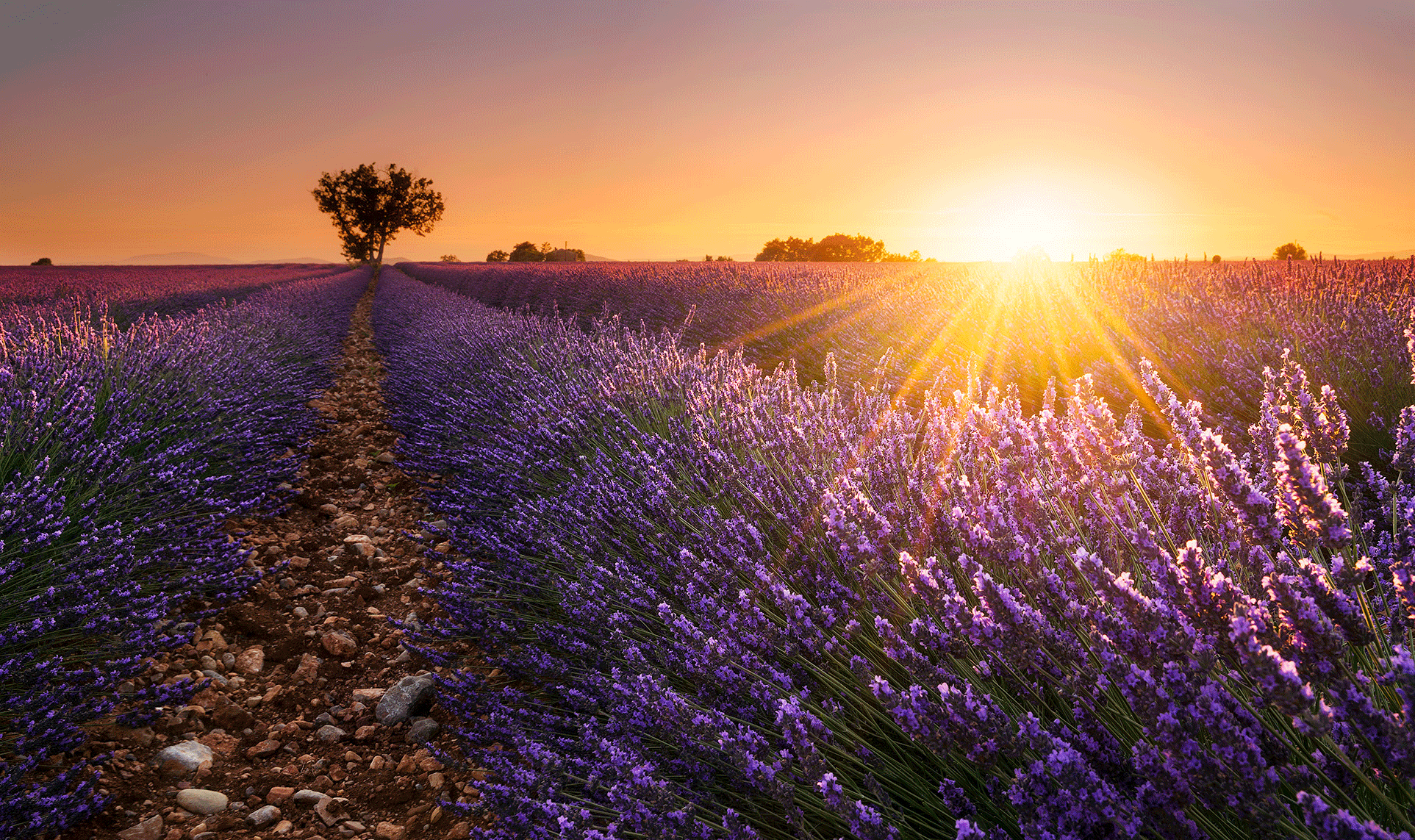 塞尚山，法国普罗旺斯艾克斯 (© travelview/iStock) @20190613 | NiceBing 必应美图 - 精彩世界,一触即发